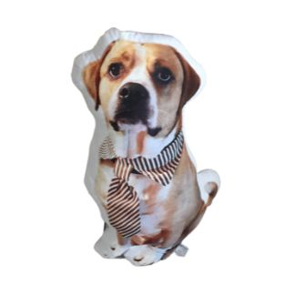 Coussin Personnalisé Chien – Image 6