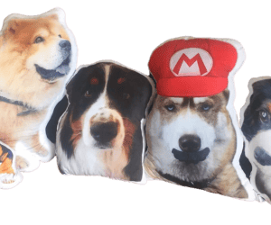 coussin-animaux-photo