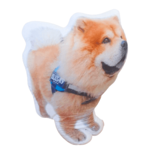 creapilou-coussin-chowchow
