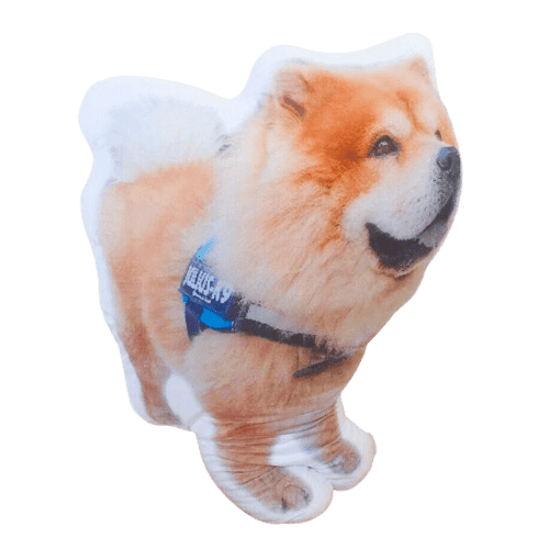 creapilou-coussin-chowchow