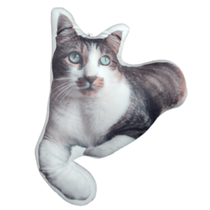 Coussin Personnalisé Chat
